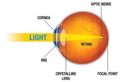 Diagram of the eye showing light entering