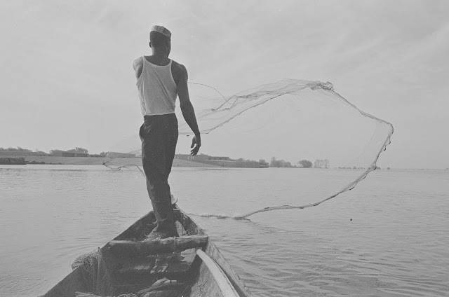 Fisherman casting a net on the Kainji Lake