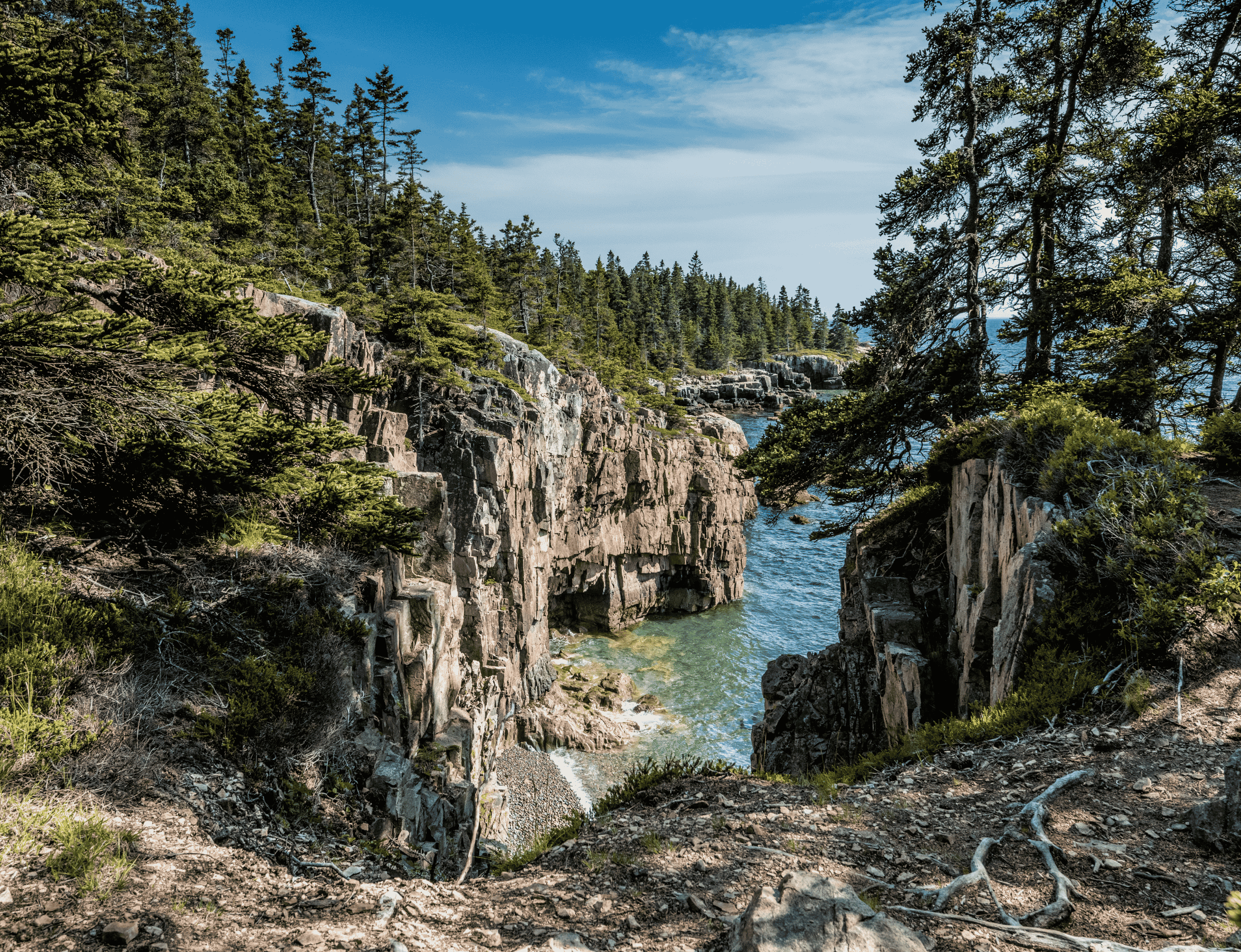 Mountains and water in Acadia National Park