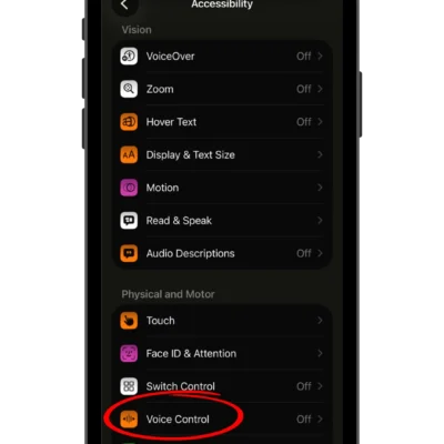 iPhone screenshot with Voice Control feature circled